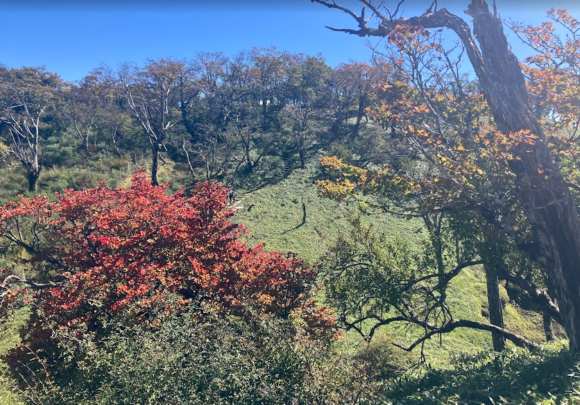 10月11日丹沢山山頂色づき始め