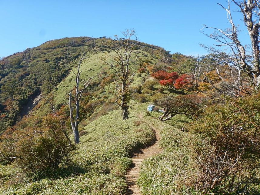 10月12日蛭ヶ岳山頂見ごろ