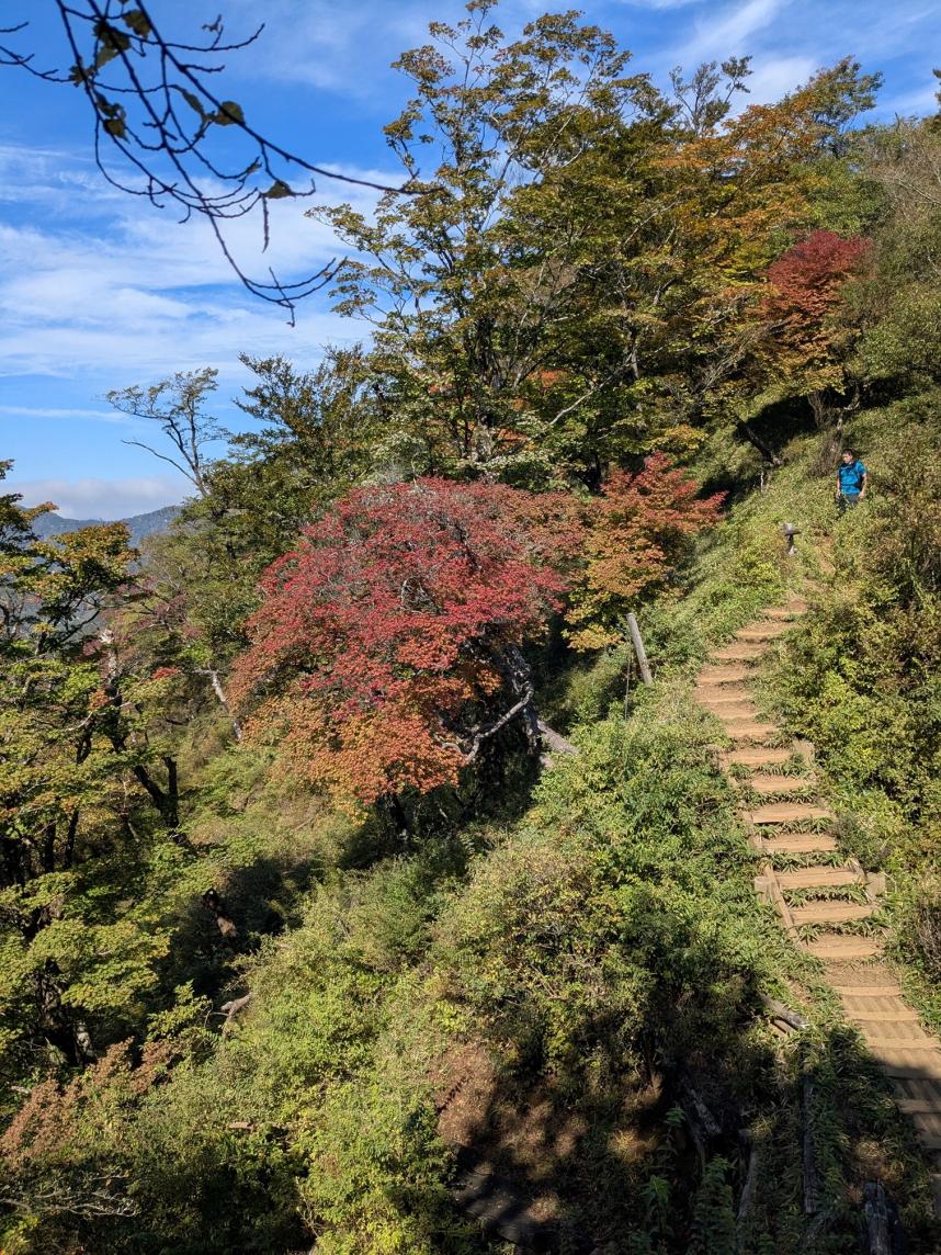 10月26日塔ノ岳から日高色づき始めから見ごろ