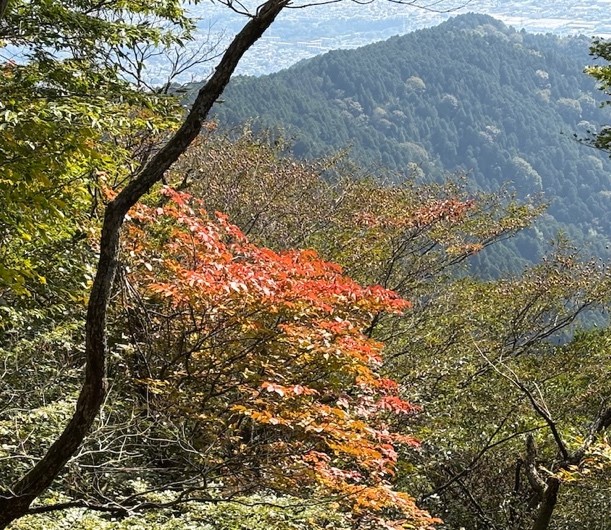 10月17日岳ノ台色づき始め