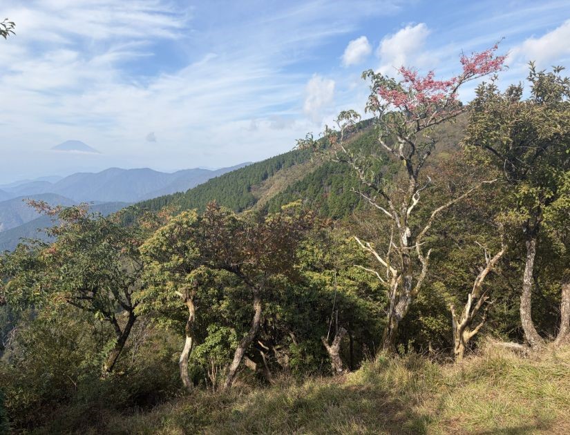 10月17日二ノ塔から三ノ塔方面色づき始め