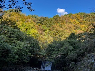 10月18日鍋割山二俣色づき始め