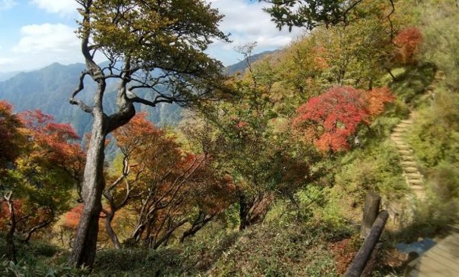 10月18日丹沢山日高色づき始め