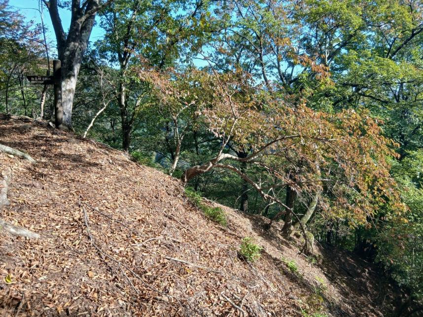 10月19日物見峠色づき始め