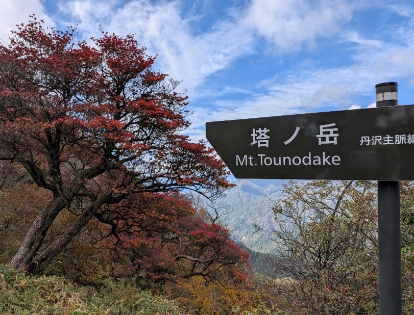 10月22日塔ノ岳山頂色づき始め