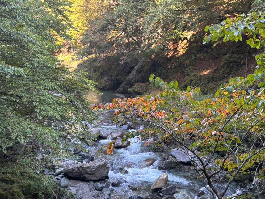 世附川周辺