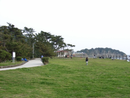 写真:葉山公園の芝生広場