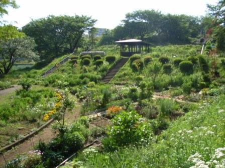 写真:三ツ池公園の分区園