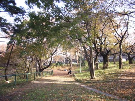 写真:篠原園地内