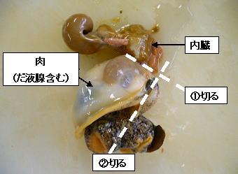 貝の中身を取り出して切るところ