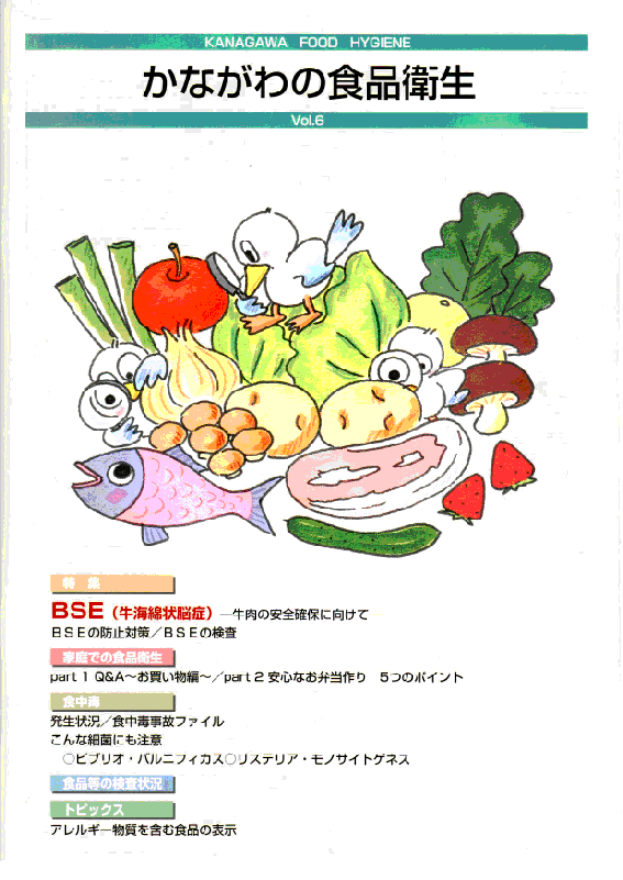 vol.6（平成13年度）