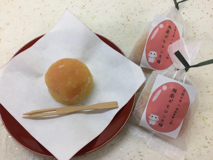 shonanpomorondaifuku