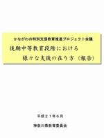 後期中等教育段階における様々な支援の在り方（報告）