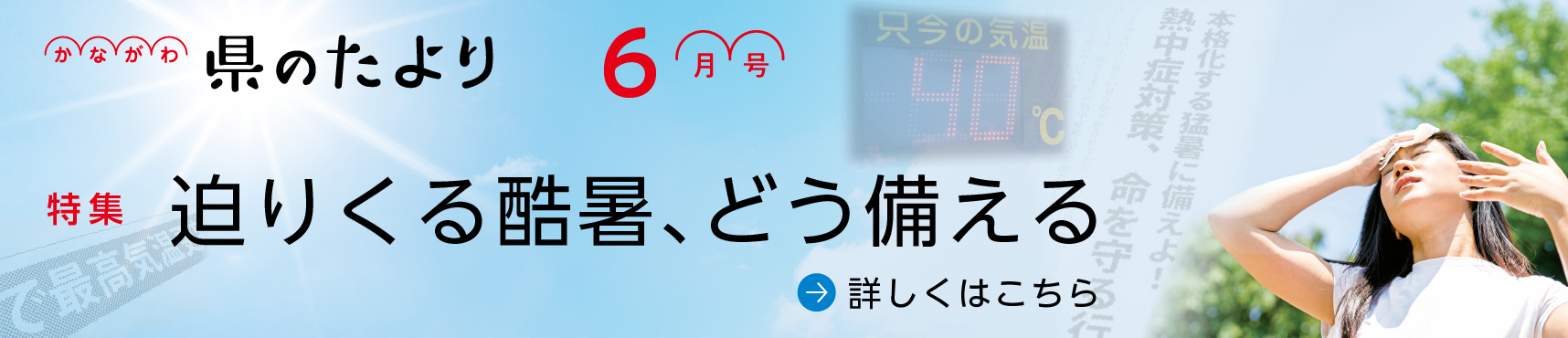 県のたより6月号