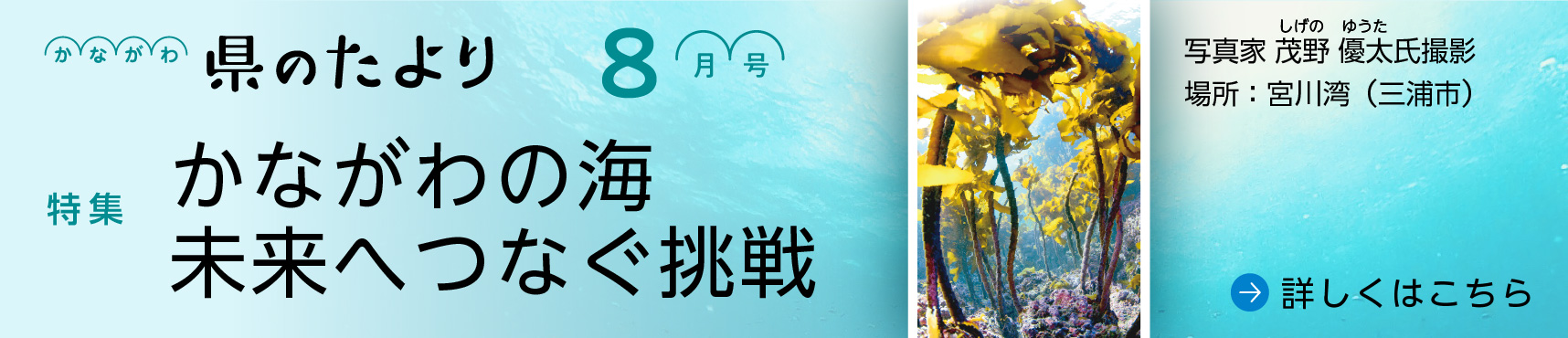 県のたより8月号