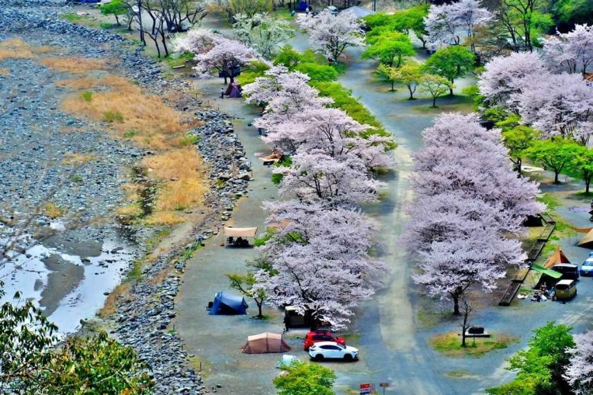 「春のキャンプ場」第33回津久井百景フォトコンテスト入賞作品