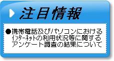 携帯電話インターネット利用状況調査結果について