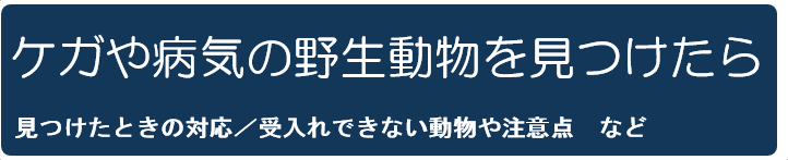 ケガや病気の野生動物を見つけたら