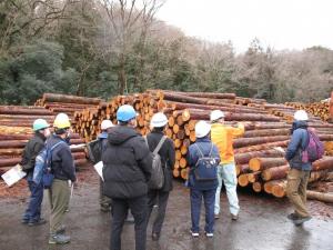 林業センター見学