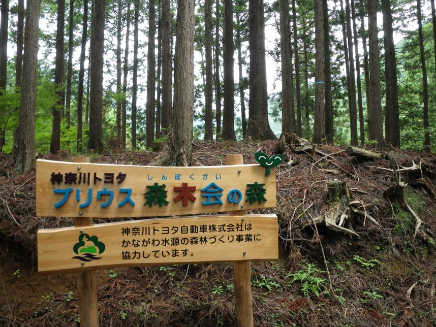 神奈川トヨタ自動車の森林再生パートナー看板