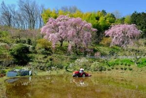 里山の春（大雄）