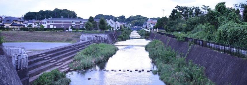 恩廻公園調節池越流堤付近