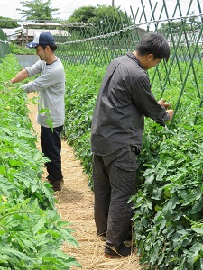 それぞれで管理作業