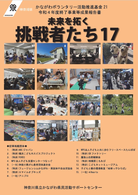 挑戦者たち17表紙