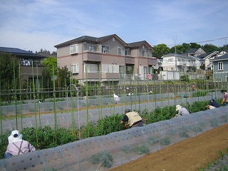 利用者による作業風景