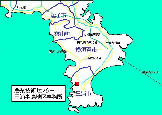 三浦半島地図