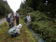 小田原山盛の会