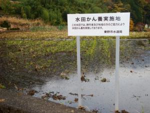 水田かん養