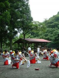 足柄ささら踊の画像