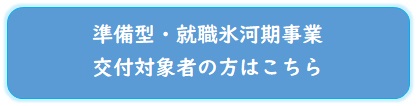 準備型・就職氷河期事業