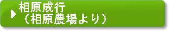 相原成行（相原農場より）