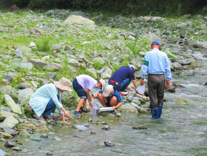 水生生物観察