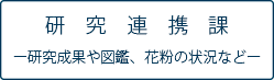 研究連携課リンクボタン