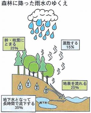 雨のゆくえ