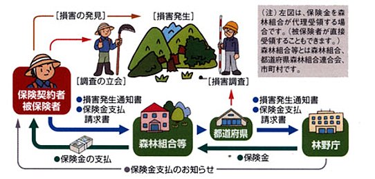 てん補フロー図