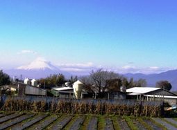 農場全体の環境保全を図りながら、周辺地域に配慮した都市共存型養豚経営を実現している