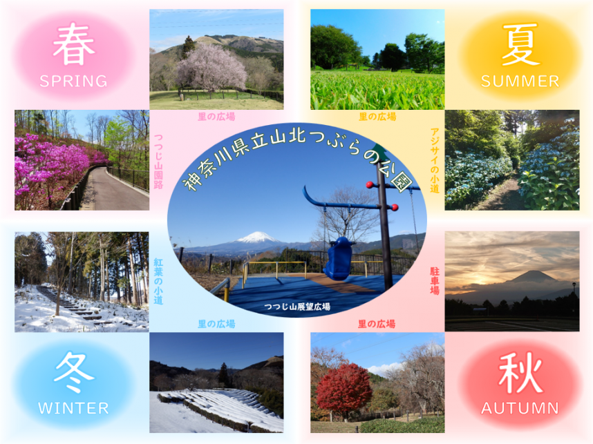 山北つぶらの公園_春夏秋冬