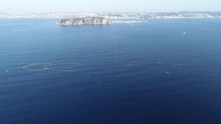 江ノ島定置網の空撮画像