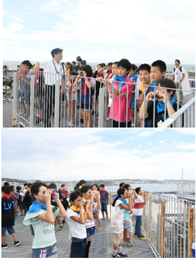 江の島周辺の海