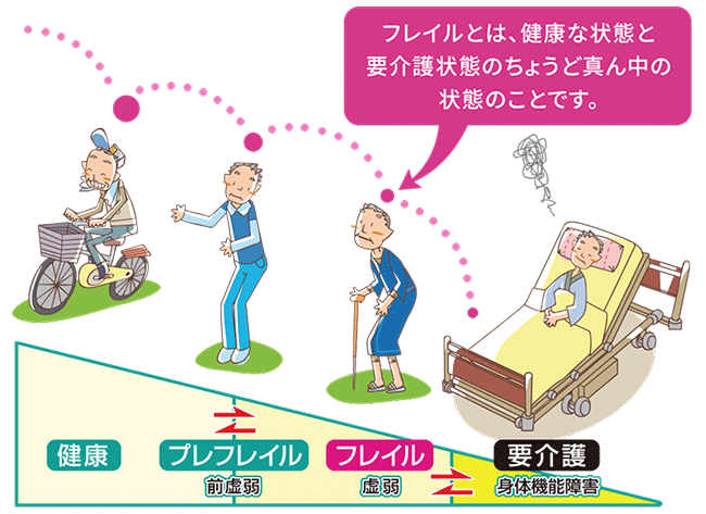 フレイルとは、健康な状態と要介護状態のちょうど真ん中の状態のことです。