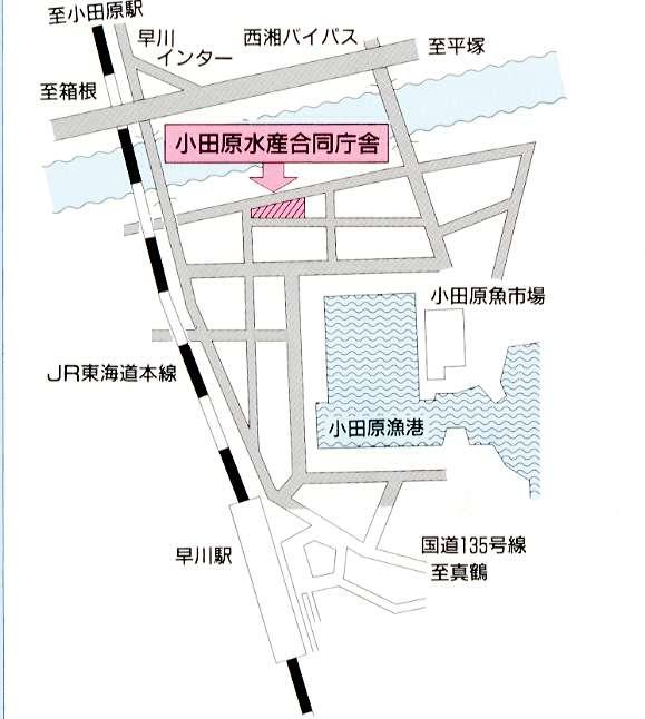 相模湾試験場周辺の地図