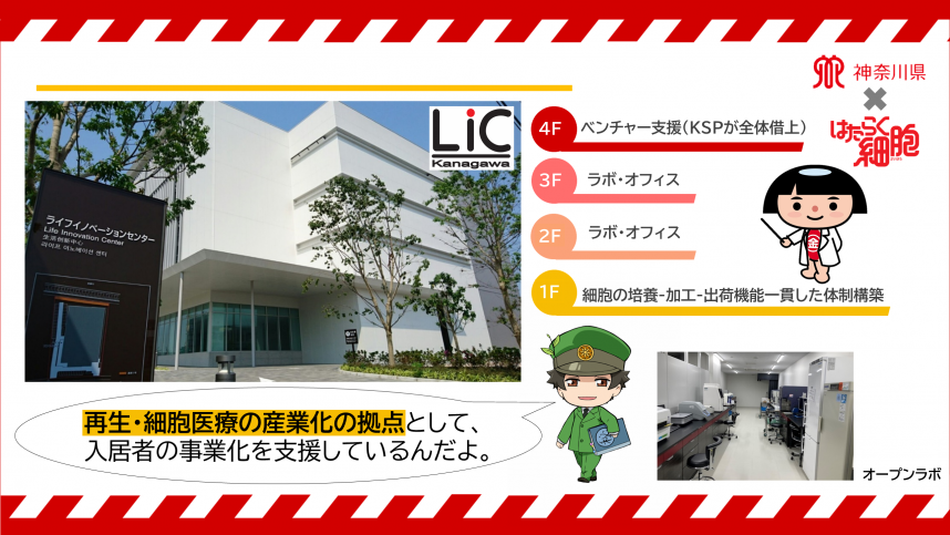 LIC_はたらく細胞