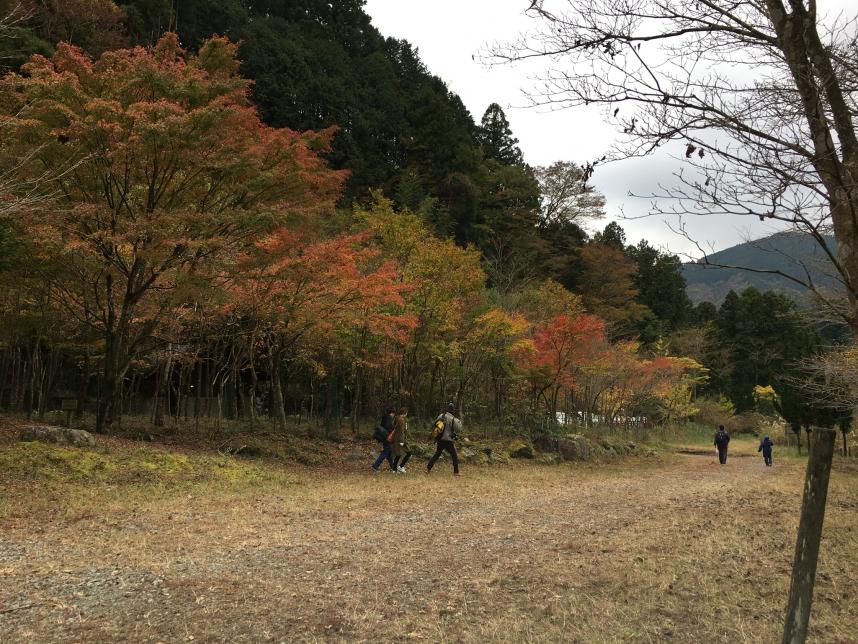 秋の風景