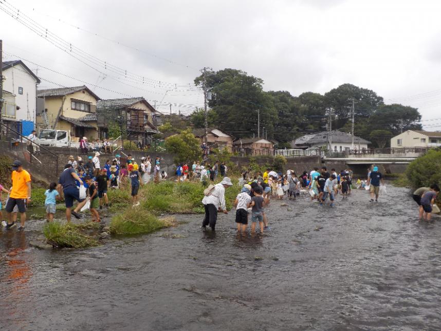 魚取りの写真