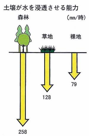 土壌が水を浸透させる能力