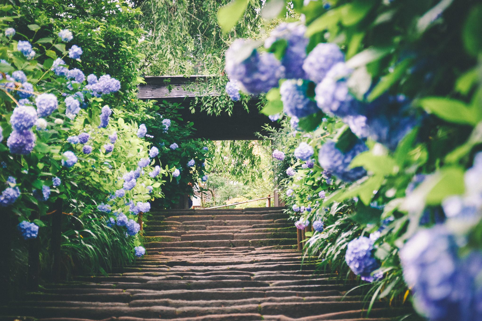 人のやさしさが詰まった1枚